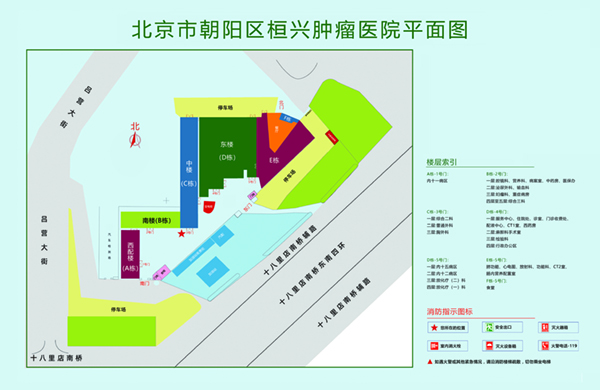 黄片不用下载少萝北京市朝阳区桓兴肿瘤医院平面图